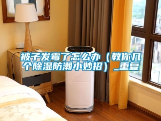 企业动态被子发霉了怎么办（教你几个除湿防潮小妙招）_重复
