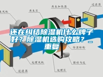 行业资讯还在纠结除湿机什么牌子好？除湿机选购攻略？_重复