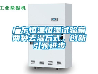 知识百科广东恒温恒湿试验箱两种去湿方式，创新引领进步
