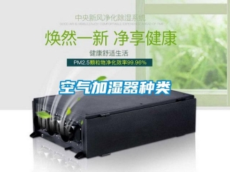 行业资讯空气加湿器种类