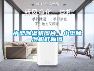 行业资讯小型除湿机图片／小型除湿机样板图