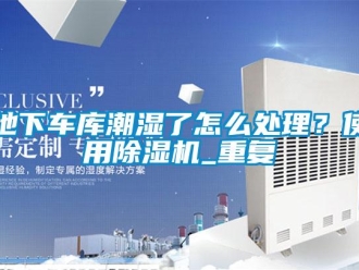 行业资讯地下车库潮湿了怎么处理？使用除湿机_重复