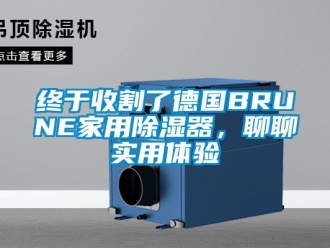 行业资讯终于收割了德国BRUNE家用除湿器，聊聊实用体验