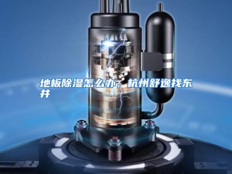 常见问题地板除湿怎么办，杭州舒逸找东井