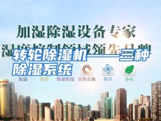 常见问题转轮除湿机——三种除湿系统