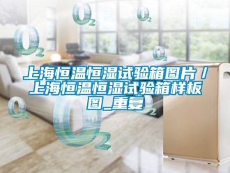 知识百科上海恒温恒湿试验箱图片／上海恒温恒湿试验箱样板图_重复