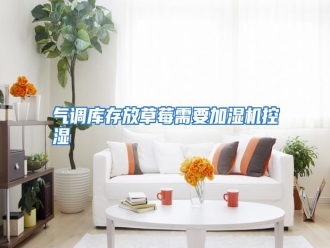 行业资讯气调库存放草莓需要加湿机控湿