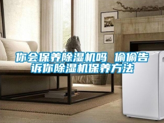 行业资讯你会保养除湿机吗 偷偷告诉你除湿机保养方法