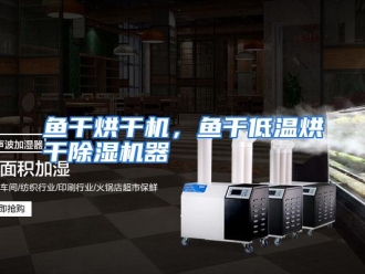 常见问题鱼干烘干机，鱼干低温烘干除湿机器