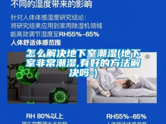 企业动态怎么解决地下室潮湿(地下室非常潮湿,有好的方法解决吗-)
