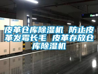 企业动态皮革仓库除湿机 防止皮革发霉长毛 皮革存放仓库除湿机