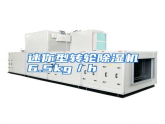 行业资讯迷你型转轮除湿机6.5kg／h