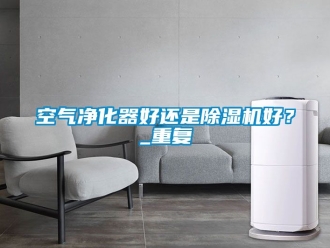 行业资讯空气净化器好还是除湿机好？_重复