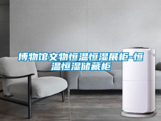 知识百科博物馆文物恒温恒湿展柜-恒温恒湿储藏柜
