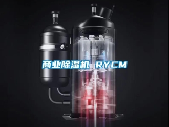 行业资讯商业除湿机 RYCM