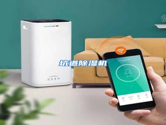 行业资讯坑道除湿机