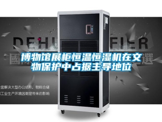 知识百科博物馆展柜恒温恒湿机在文物保护中占据主导地位