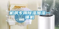 机房专用除湿加湿一体机