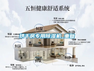 行业资讯烘干房专用除湿机_重复