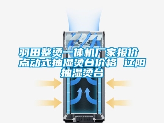 企业动态羽田整烫一体机厂家报价 点动式抽湿烫台价格 辽阳抽湿烫台