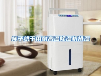 行业资讯柿子烘干用耐高温除湿机排湿