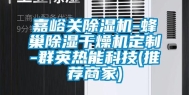 嘉峪关除湿机-蜂巢除湿干燥机定制-群英热能科技(推荐商家)