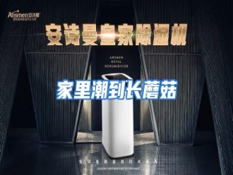 行业资讯家里潮到长蘑菇