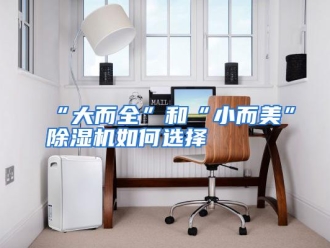 常见问题“大而全”和“小而美”除湿机如何选择