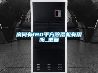 行业资讯房间有120平方除湿机有用吗_重复