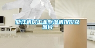浙江机房工业除湿机报价及图片