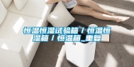 恒温恒湿试验箱／恒温恒湿箱／恒温箱_重复