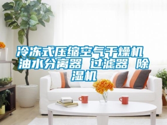 行业资讯冷冻式压缩空气干燥机 油水分离器 过滤器 除湿机