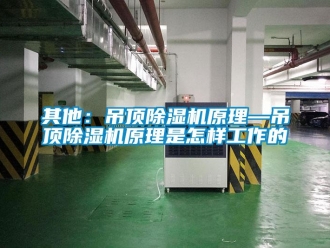 行业资讯其他：吊顶除湿机原理—吊顶除湿机原理是怎样工作的