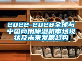 常见问题2022-2028全球与中国商用除湿机市场现状及未来发展趋势