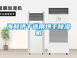 行业资讯海鲜烘干选用烘干除湿机