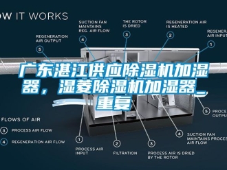 行业资讯广东湛江供应除湿机加湿器，湿菱除湿机加湿器_重复