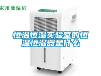 知识百科恒温恒湿实验室的恒温恒湿器是什么
