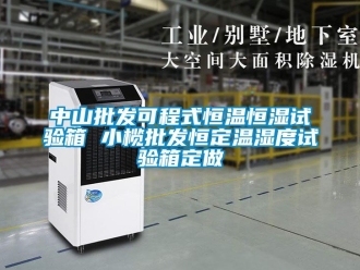 知识百科中山批发可程式恒温恒湿试验箱 小榄批发恒定温湿度试验箱定做