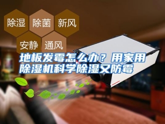 常见问题地板发霉怎么办？用家用除湿机科学除湿又防霉