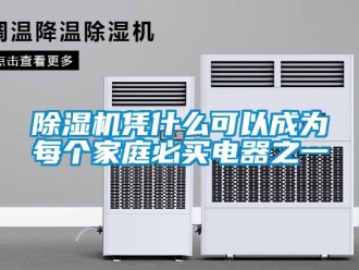 常见问题除湿机凭什么可以成为每个家庭必买电器之一