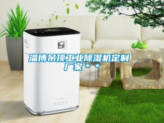 企业动态淄博吊顶工业除湿机定制 厂家＊＊