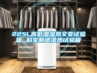 常见问题225L高低温湿热交变试验箱 科宝制造湿热试验箱
