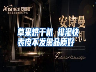 知识百科草果烘干机 排湿快表皮不发黑品质好