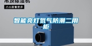 智能亮灯氮气防潮二用柜
