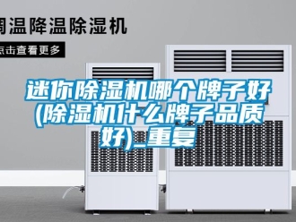 行业资讯迷你除湿机哪个牌子好(除湿机什么牌子品质好)_重复