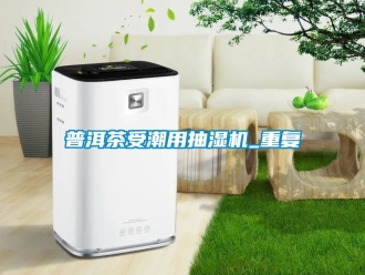 企业动态普洱茶受潮用抽湿机_重复