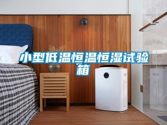 知识百科小型低温恒温恒湿试验箱