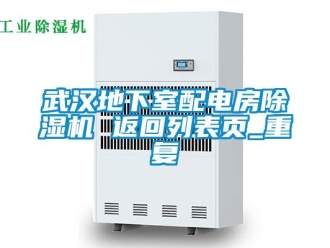 行业资讯武汉地下室配电房除湿机 返回列表页_重复