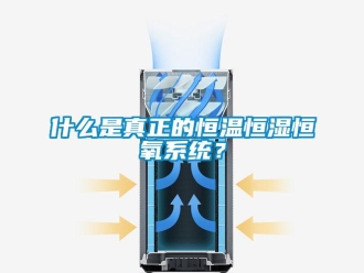 知识百科什么是真正的恒温恒湿恒氧系统？