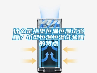 知识百科什么是小型恒温恒湿试验箱？小型恒温恒湿试验箱的特点